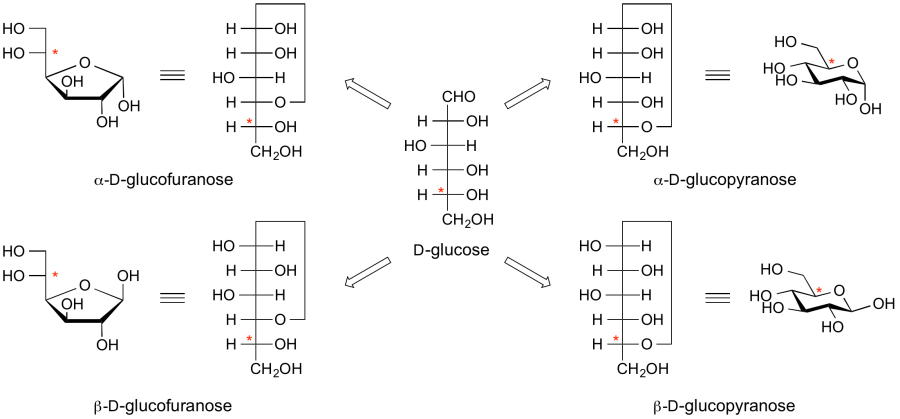 Example 3. Fischer projections and Haworth conformational projections of D-glucose.