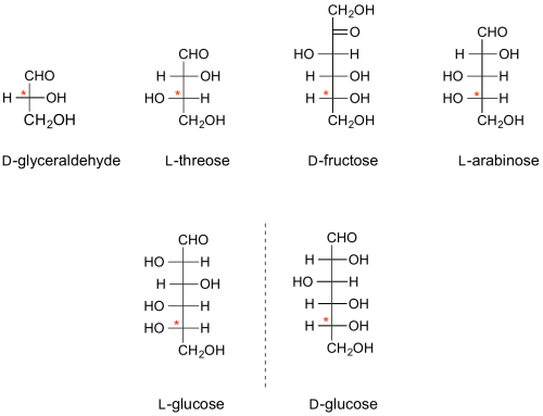 Fischer projections of representative sugars - the configurational "D" or "L" stereogenic centre is denoted with an asterix.