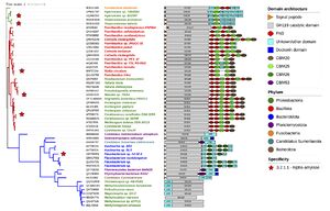 GH119 phylogenetic tree.jpg