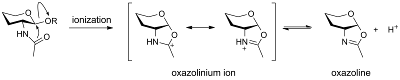 Oxazolinium ion.png
