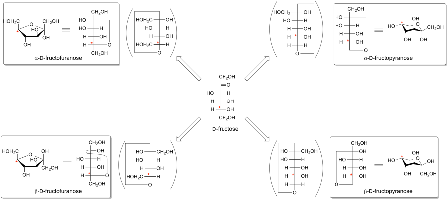 Example 2. Fischer projections and Haworth conformational projections of D-fructose.