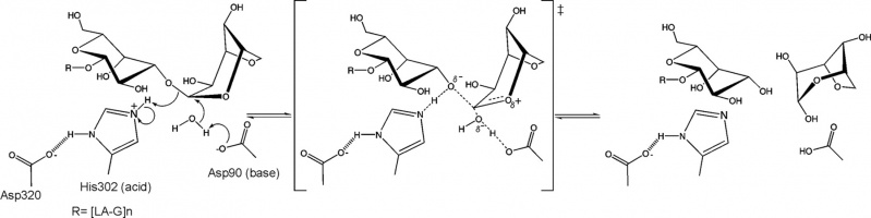 Proposed mechanism of α-1,3-L-(3,6-anhydro)-galactosidase. From [4]