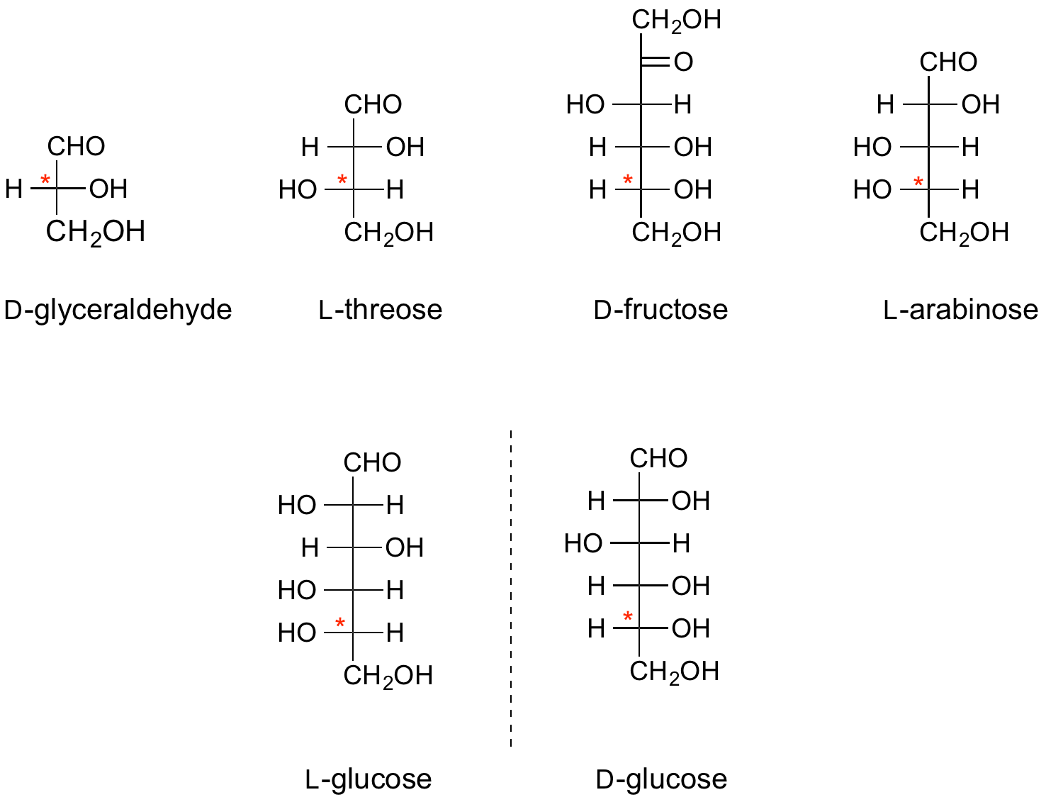 Fischer projections of representative sugars - the configurational "D" or "L" stereogeniccentre is denoted with an asterix