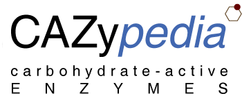 Cazypedia logo big.png