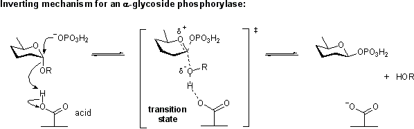 File:Inverting a-glycoside phosphorylase mechanism.png