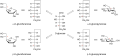 Alpha&beta glucose.png