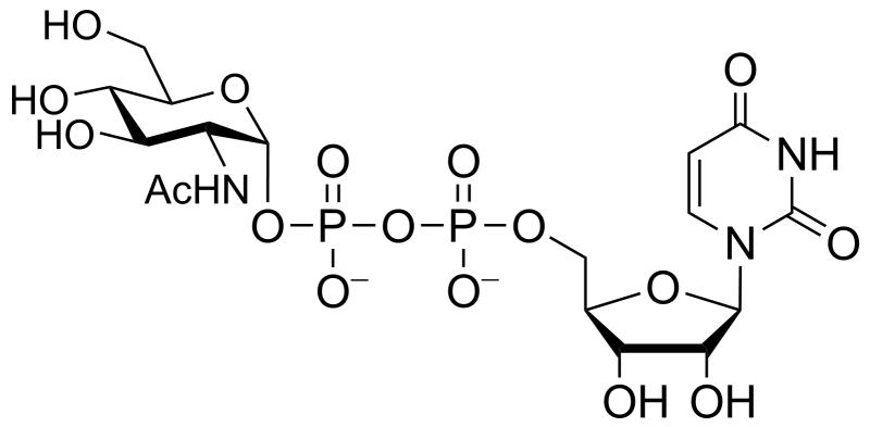 File:UDPGlcNAc.png