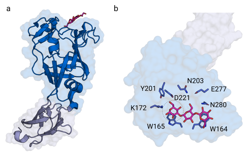 File:Bfluxus 3.png