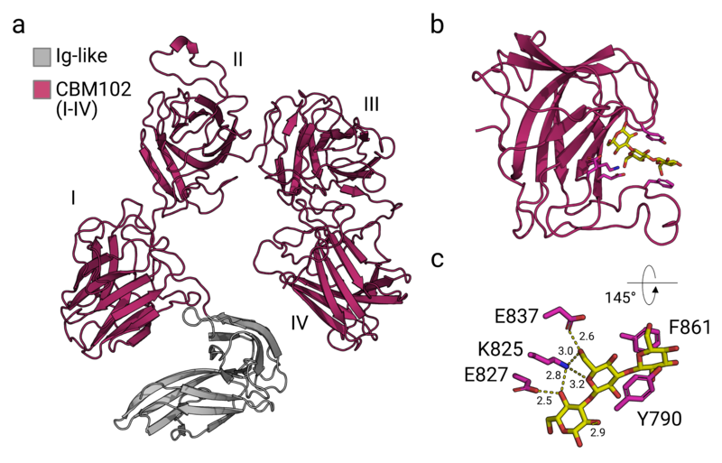 File:FigSGBP.png