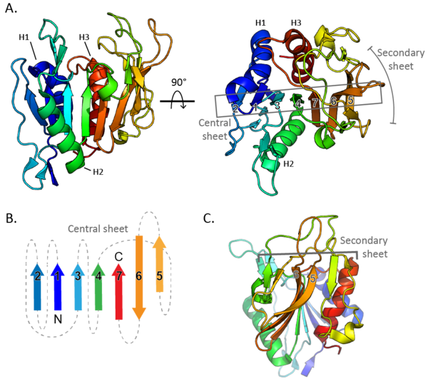 Carbohydrate Binding Module Family 87 - CAZypedia