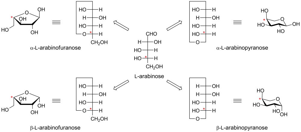 Alpha&beta arabinose.png
