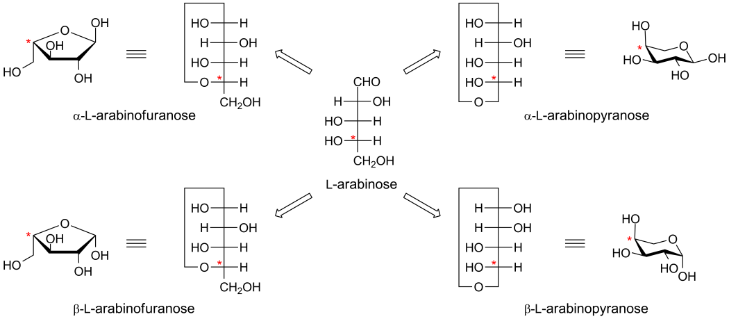 Alpha&beta arabinose.png