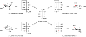 Alpha&beta arabinose.png