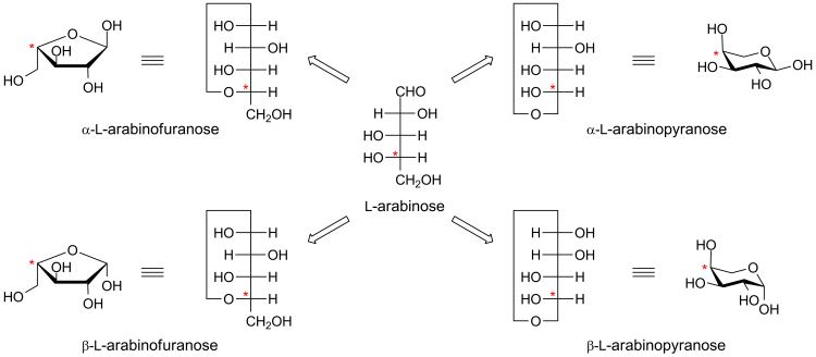 Alpha&beta arabinose.png