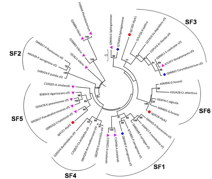 File:PL7SF Thomasetal2013.JPG