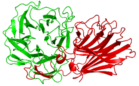 Carbohydrate Binding Module Family 91 - CAZypedia