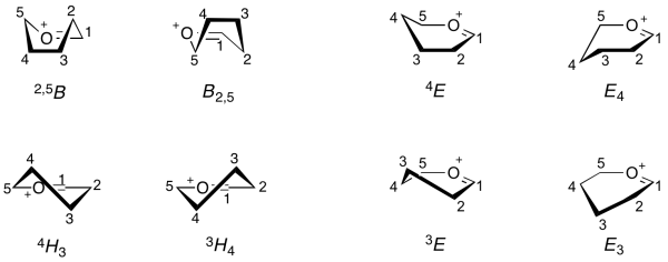 Oxocarbenium conformations.png