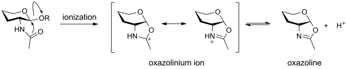 Oxazolinium ion.png