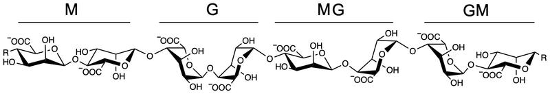 File:Alginate M G MG GM.png