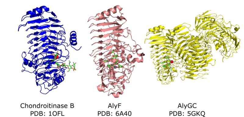 File:PL6 structures.png