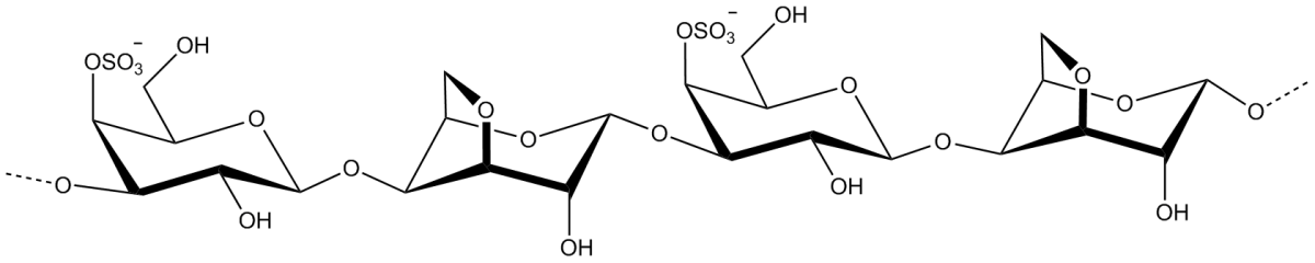 File:Kappa carrageenan.png - CAZypedia