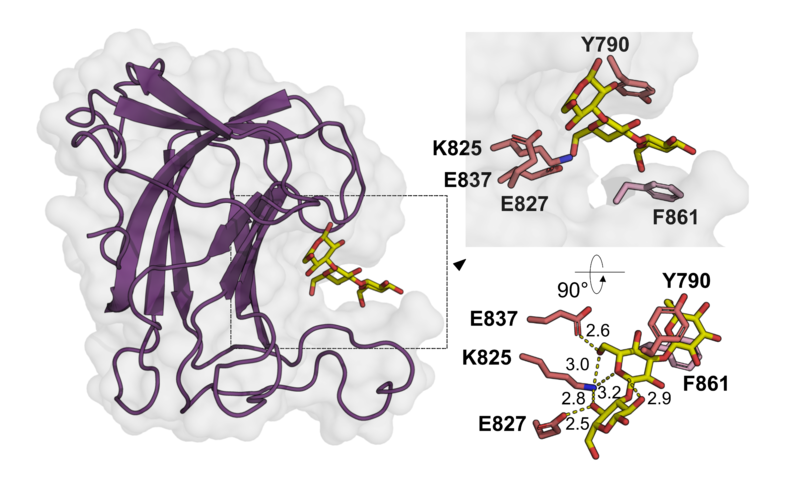 File:Fig.1.png