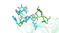 CBM35-glucan complex.png