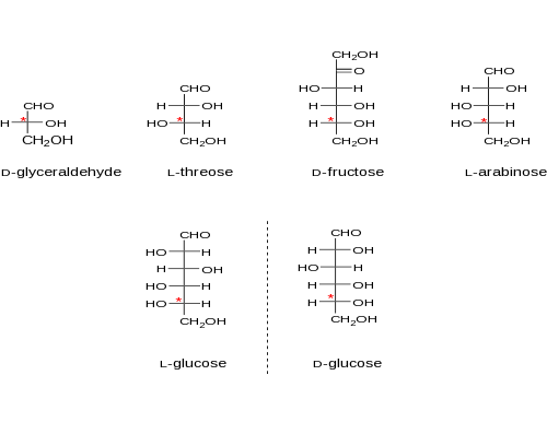 Fischer projections of representative sugars - the configurational "D" or "L" stereogenic centre is denoted with an asterix.