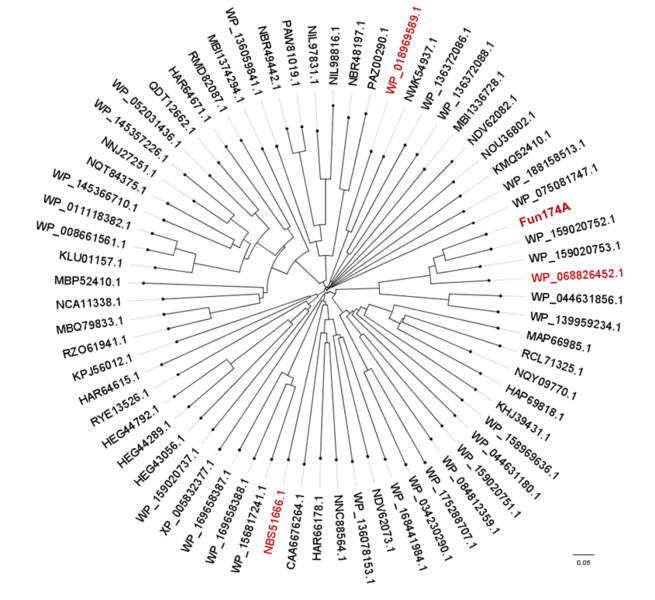 File:Tree.png