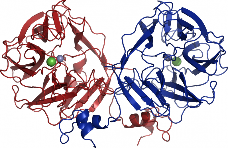 File:Agha structure.png