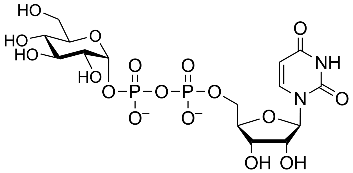 File:UDPGlc.png - CAZypedia