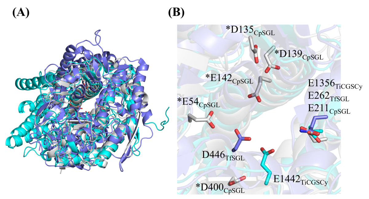 File:Fig2.png - CAZypedia