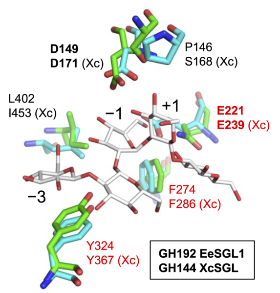 File:GH192 pedia.png