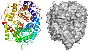 Overall structure.jpg