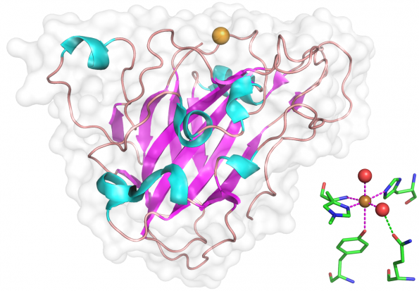 Overall Structure.png