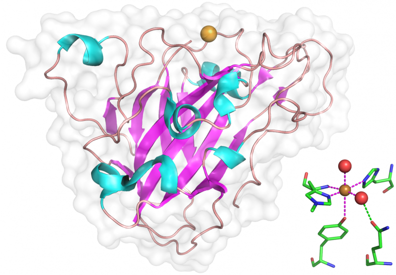 Overall Structure.png