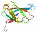 CBM2-cellulosestructure.png